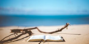 Best summer holiday reads 2018