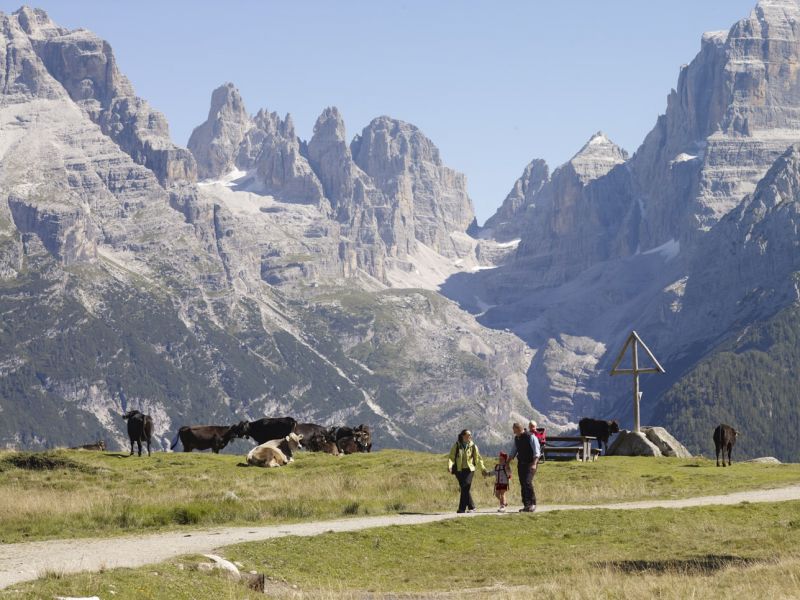 Our top hiking trails around Madonna di Campiglio