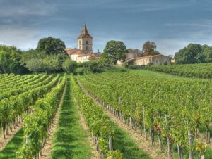 Everything you need to know about wine tasting in Bordeaux