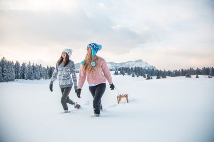 Activities for non-skiers on a ski holiday