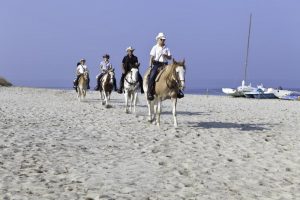 4* Horse riding package in Sardinia includes lessons and different ride routes