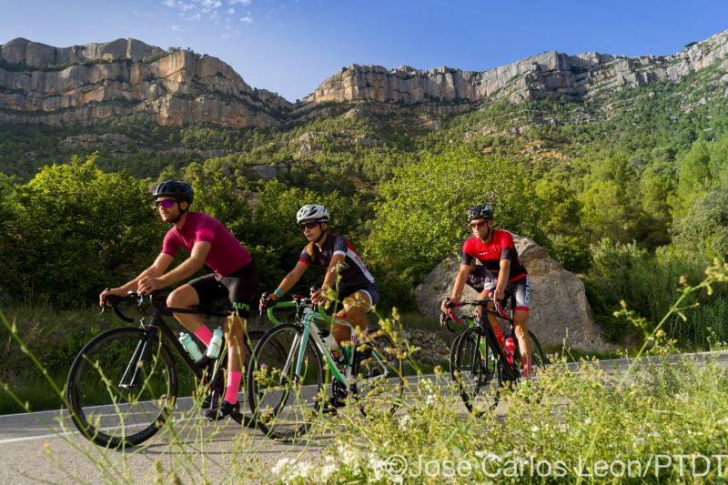 Guided road cycling break on the Costa Daurada