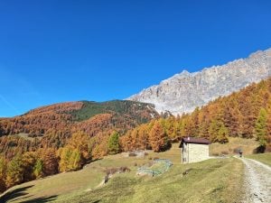 Vivere l’autunno in Valtellina: un viaggio tra sapori, colori e tradizioni alpine…