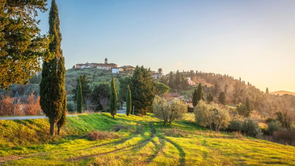 Lajatico village among olive trees and cypress-lined Tuscan hills